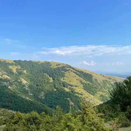 Milmari Lux H-1 카파오닉