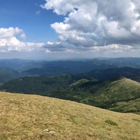 Milmari Lux H-1 카파오닉