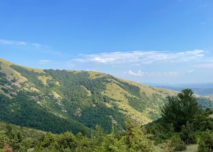 Milmari Lux H-1 Kopaonik