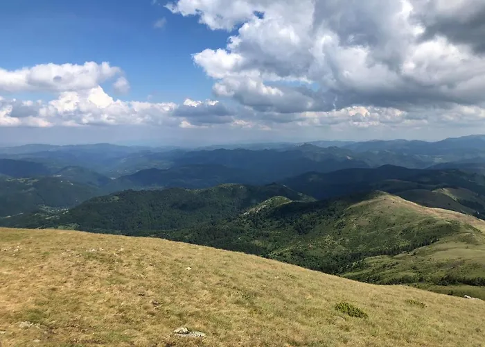 Milmari Lux H-1 Kopaonik